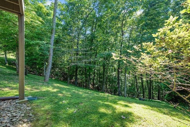 647 Omega Dr, Spring City, TN 37381 - view of grassy yard with a wooded view