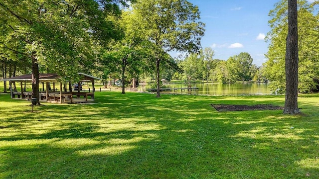 647 Omega Dr, Spring City, TN 37381 - view of property's community with a water view and a yard
