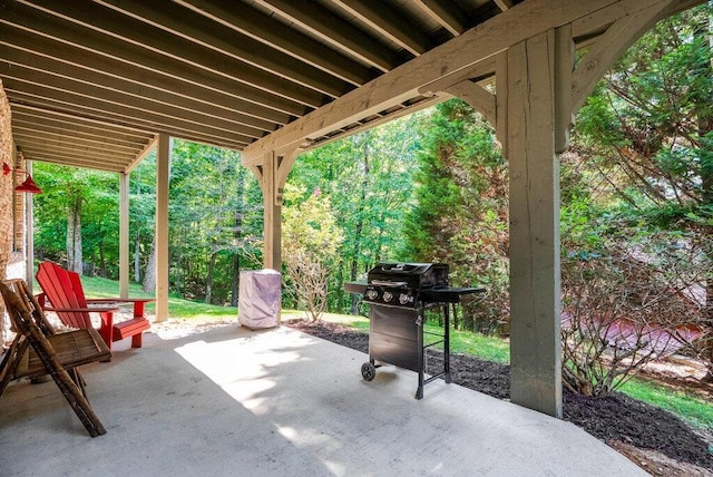 647 Omega Dr, Spring City, TN 37381 - view of patio / terrace with grilling area