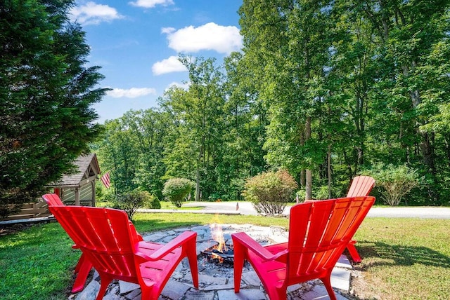 647 Omega Dr, Spring City, TN 37381 - view of patio with an outdoor fire pit