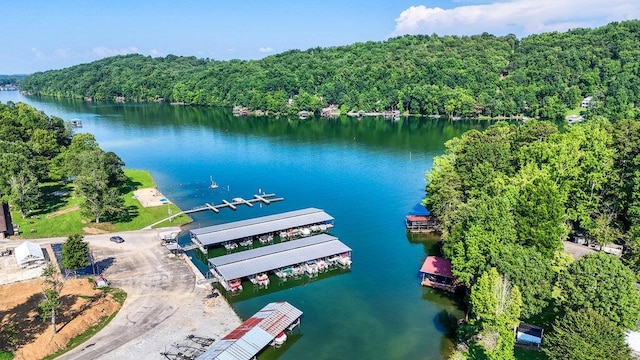 647 Omega Dr, Spring City, TN 37381 - aerial overview of property's location featuring a heavily wooded area and a large body of water