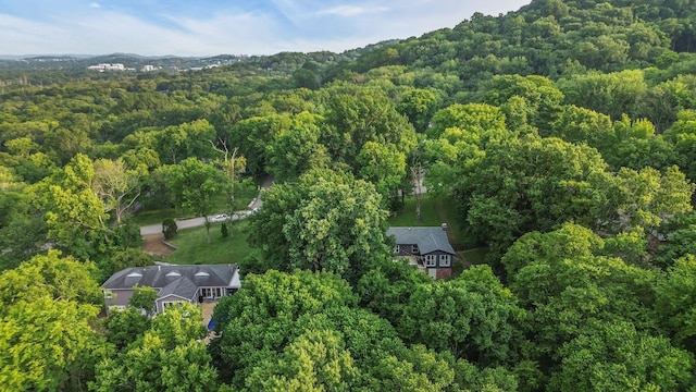826 Evansdale Dr, Nashville, TN 37220 - photo 81