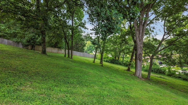 826 Evansdale Dr, Nashville, TN 37220 - photo 69