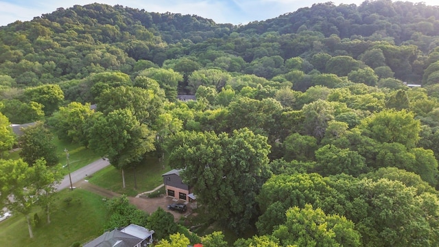 826 Evansdale Dr, Nashville, TN 37220 - photo 80