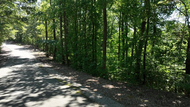 4 Savannah Dr, Smithville, TN 37166 - photo 5