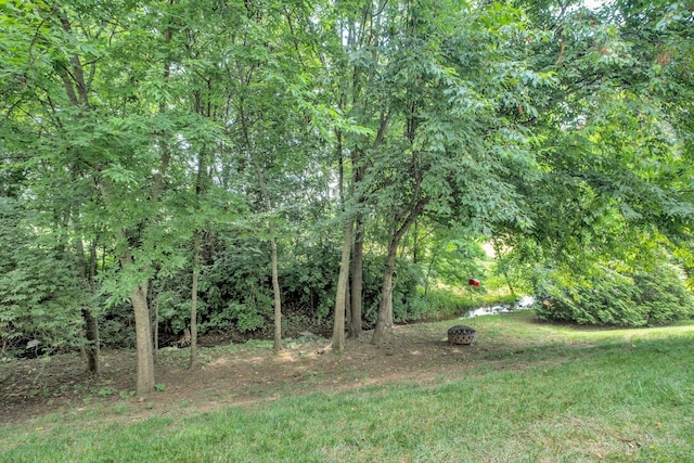 130 Saxony Way, Gallatin, TN 37066 - photo 31
