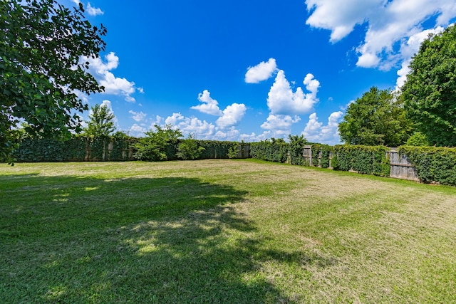 5334 Shelbyville Pike, Christiana, TN 37037 - view of fenced backyard