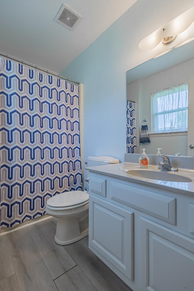 5334 Shelbyville Pike, Christiana, TN 37037 - bathroom featuring vanity, wood finished floors, and curtained shower