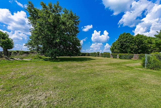5334 Shelbyville Pike, Christiana, TN 37037 - view of yard