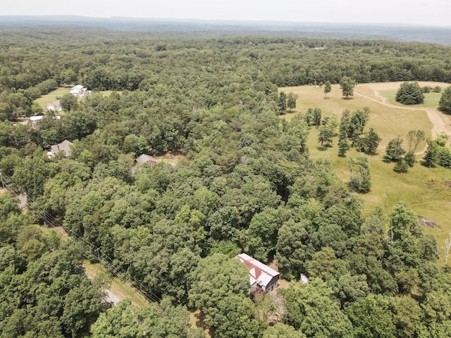 8116 Hixson Springs Rd, Signal Mountain, TN 37377 - bird's eye view of a heavily wooded area