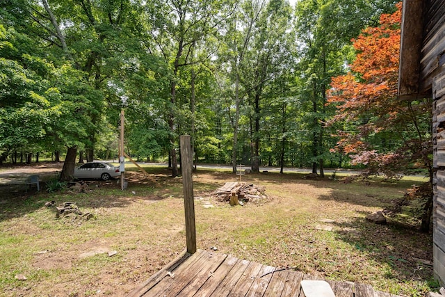 8116 Hixson Springs Rd, Signal Mountain, TN 37377 - view of yard