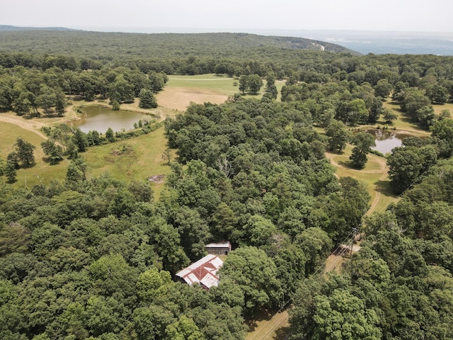 8116 Hixson Springs Rd, Signal Mountain, TN 37377 - drone / aerial view of a nearby body of water