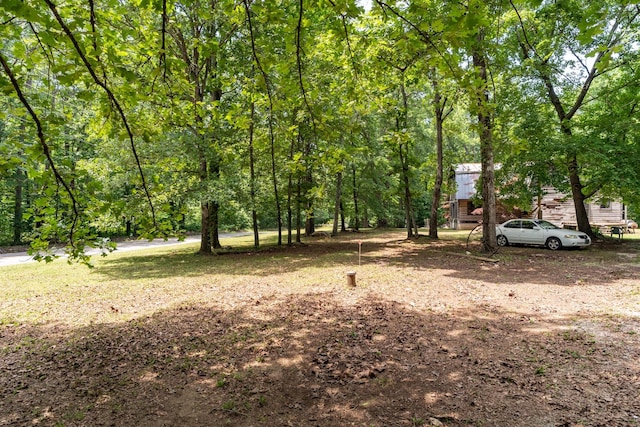 8116 Hixson Springs Rd, Signal Mountain, TN 37377 - view of yard featuring a forest view