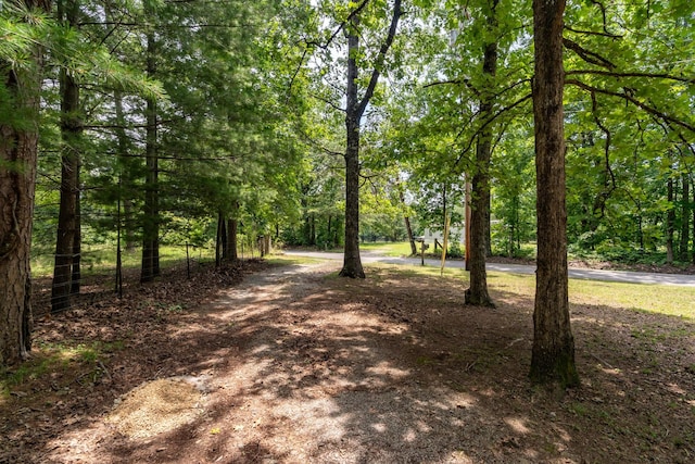 8116 Hixson Springs Rd, Signal Mountain, TN 37377 - view of street