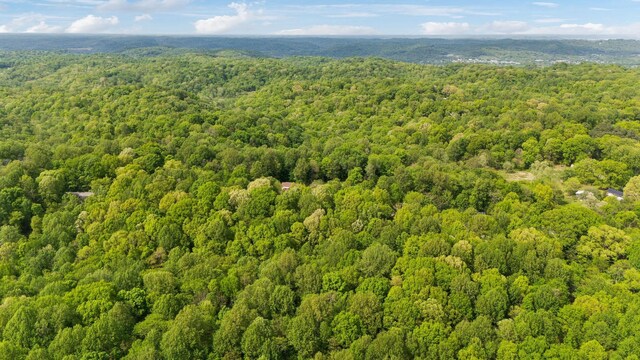 8901 Griffith Rd, Nashville, TN 37221 - photo 54