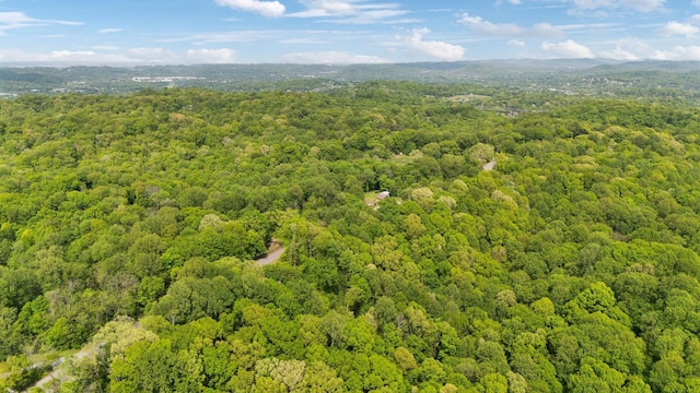 8901 Griffith Rd, Nashville, TN 37221 - photo 52