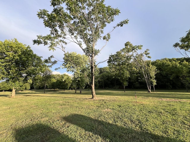 0 Bushs Ln, Gallatin, TN 37066 - photo 15