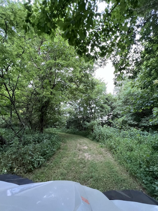 0 Bushs Ln, Gallatin, TN 37066 - photo 13