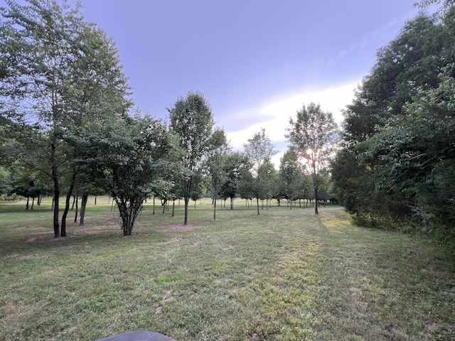 0 Bushs Ln, Gallatin, TN 37066 - photo 4