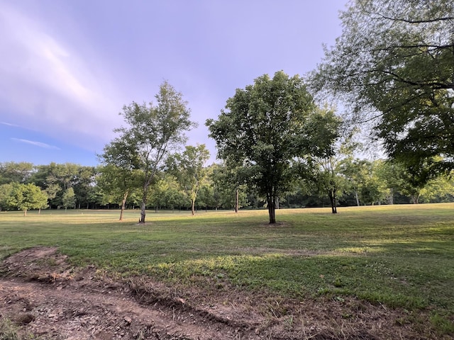 0 Bushs Ln, Gallatin, TN 37066 - photo 11
