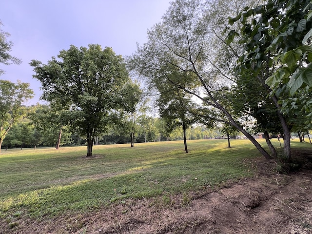 0 Bushs Ln, Gallatin, TN 37066 - photo 12