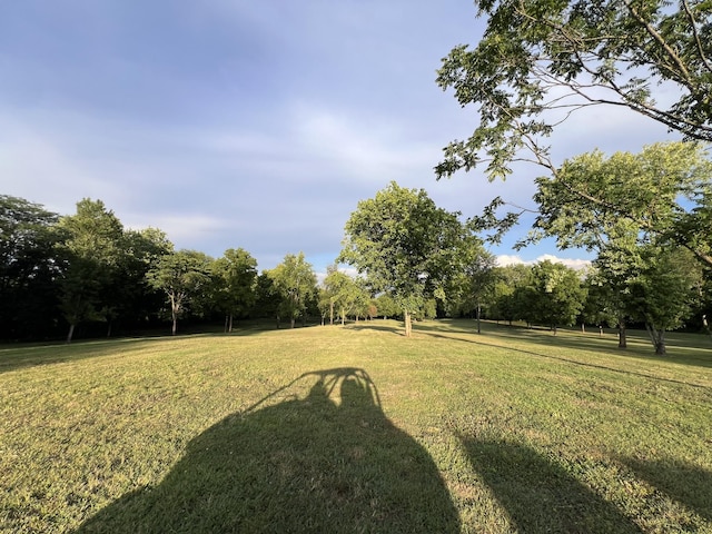 0 Bushs Ln, Gallatin, TN 37066 - photo 16