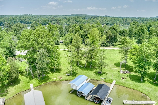 179 Culvahouse Ln, Ten Mile, TN 37880 - photo 30