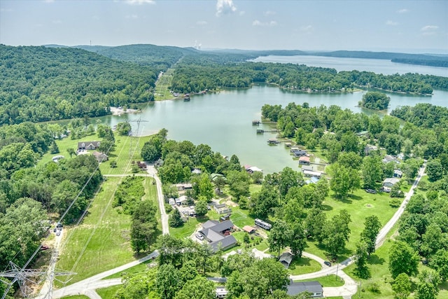 179 Culvahouse Ln, Ten Mile, TN 37880 - photo 2