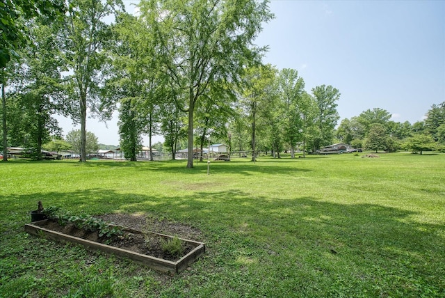 179 Culvahouse Ln, Ten Mile, TN 37880 - photo 33