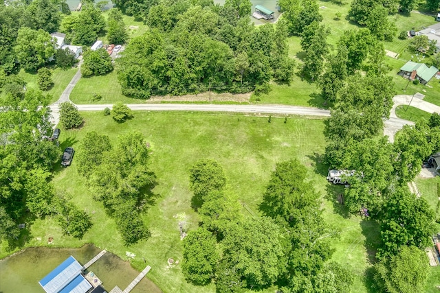 179 Culvahouse Ln, Ten Mile, TN 37880 - photo 29