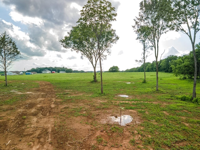 0 Comstock Rd, Chapel Hill, TN 37034
