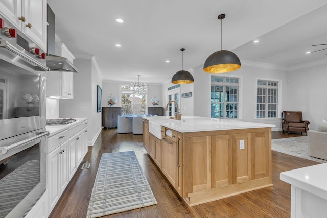 1803 Benziger Ter, Brentwood, TN 37027 - kitchen featuring open floor plan, stainless steel appliances, ornamental molding, recessed lighting, and dark wood-type flooring