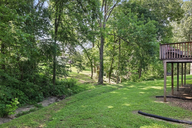 144 Waggoner St, Carthage, TN 37030 - view of green lawn with a wooden deck