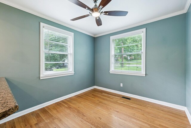 149 Mccall St, Nashville, TN 37211 - photo 12