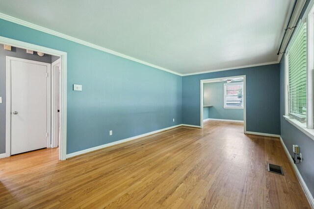 149 Mccall St, Nashville, TN 37211 - photo 15