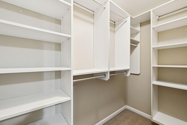 6014 Thrush Ct, Spring Hill, TN 37174 - spacious closet featuring carpet flooring