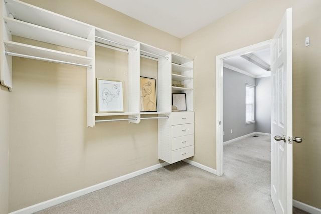 6014 Thrush Ct, Spring Hill, TN 37174 - walk in closet with light colored carpet