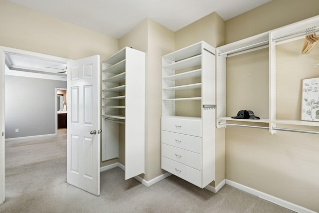 6014 Thrush Ct, Spring Hill, TN 37174 - walk in closet with carpet
