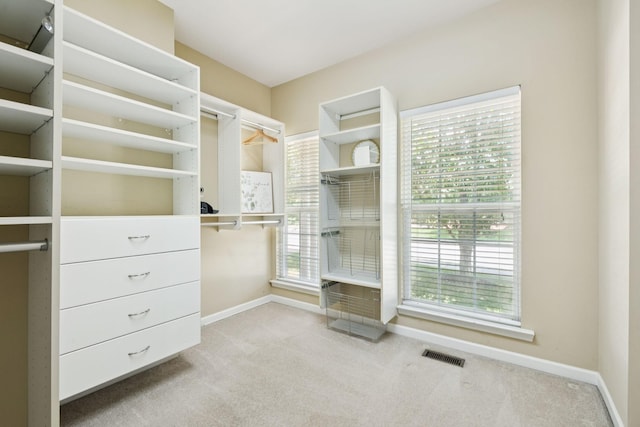 6014 Thrush Ct, Spring Hill, TN 37174 - walk in closet with carpet