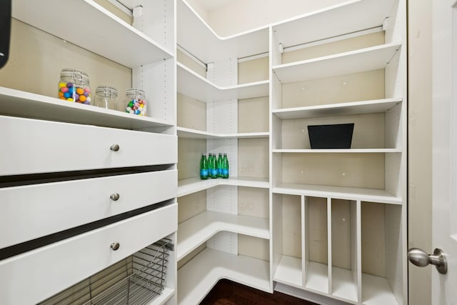 6014 Thrush Ct, Spring Hill, TN 37174 - view of pantry