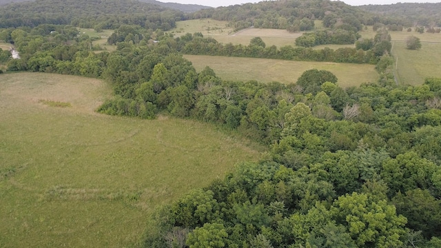 10523 E Lyon Rd, Readyville, TN 37149 - photo 65
