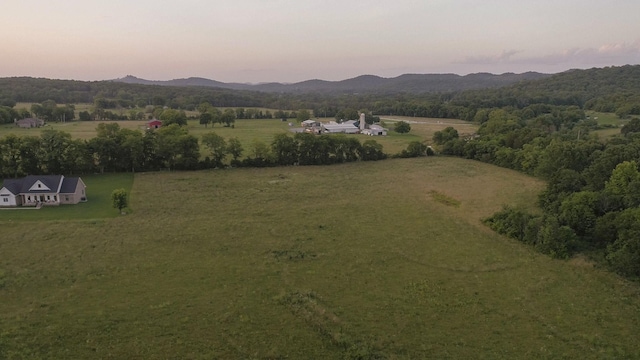 10523 E Lyon Rd, Readyville, TN 37149 - photo 53