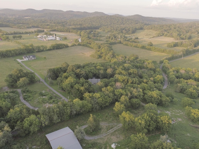 10523 E Lyon Rd, Readyville, TN 37149 - photo 55