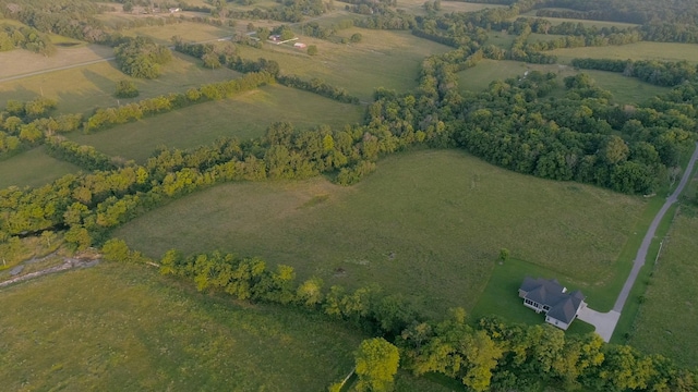 10523 E Lyon Rd, Readyville, TN 37149 - photo 52
