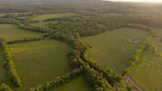 10523 E Lyon Rd, Readyville, TN 37149 - photo 54
