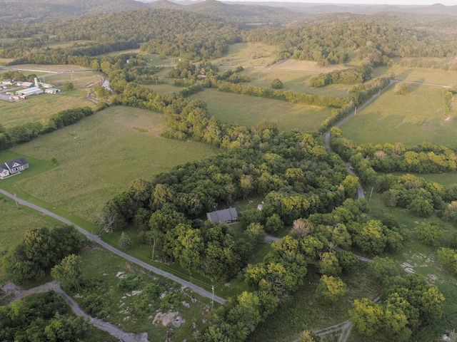 10523 E Lyon Rd, Readyville, TN 37149 - photo 51