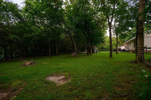 10523 E Lyon Rd, Readyville, TN 37149 - photo 41