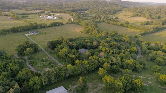 10523 E Lyon Rd, Readyville, TN 37149 - photo 60