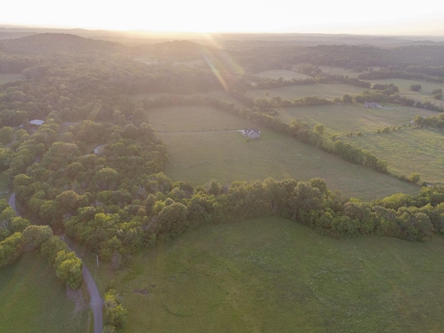 10523 E Lyon Rd, Readyville, TN 37149 - photo 48