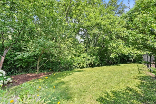 934 Giant Oak Dr, Nashville, TN 37217 - photo 9